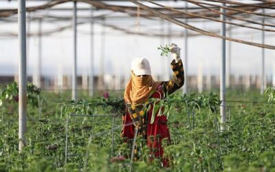 16 kalemin önü açıldı! Türkiye, dost ülke ile engelleri aştı