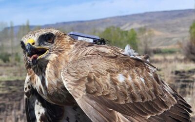 2,5 yılda 28 ülke: Tam 103 bin km uçtu