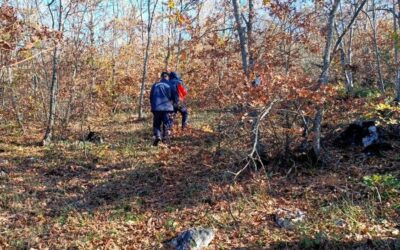 Ekipler seferber oldu! Ormanda kaybolan vatandaş aranıyor