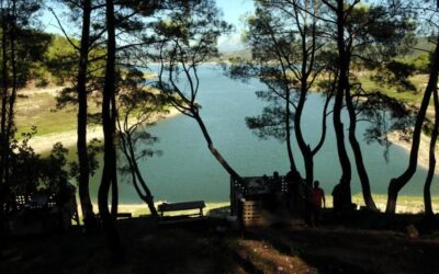 AK Parti'den çevre, turizm ve vakıf alanında reform niteliğinde iki teklif: TBMM'ye sunuldu
