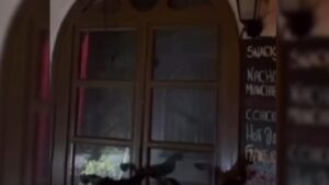 Alaçatı'da kurşun yağdırıp o anları videoya aldı