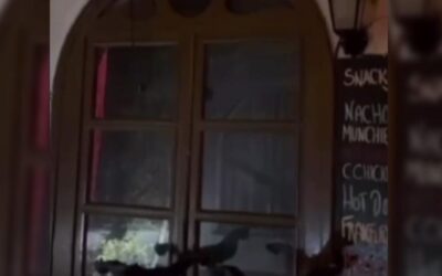 Alaçatı'da kurşun yağdırıp o anları videoya aldı