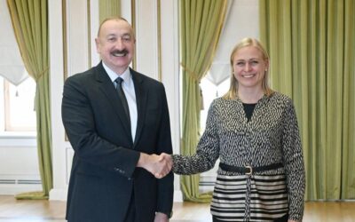 Aliyev, Valtonen'i kabul etti