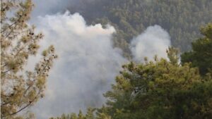 Antalya'dan alevler yükseldi! Müdahale ediliyor