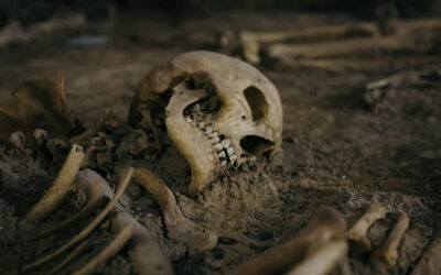 Arkeologlar, bir iskeletin cinsiyetini nasıl anlayabiliyor?