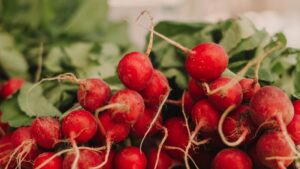 Balığın yanına, salatalara giriyor… Kışın C vitamini mahzeni