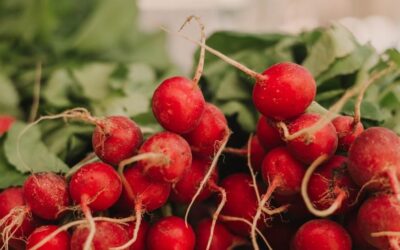 Balığın yanına, salatalara giriyor… Kışın C vitamini mahzeni