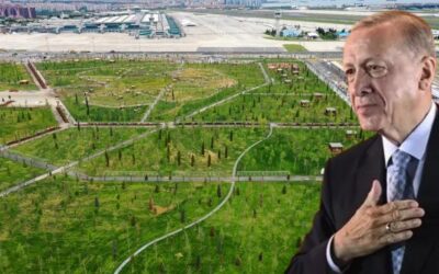 Başkan Erdoğan paylaştı: İstanbul'umuza hizmet etmeye hazır