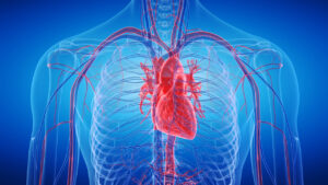 Uykudaki geni uyandırdılar: İnsan kalbi artık kendi kendini onarabilecek