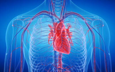 Uykudaki geni uyandırdılar: İnsan kalbi artık kendi kendini onarabilecek