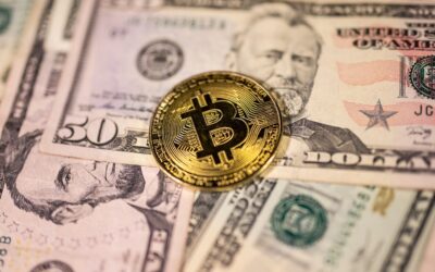 Bitcoin yıl içi kazancını sildi: Kripto ayı piyasası derinleşiyor