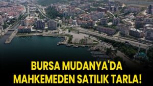 Bursa Mudanya'da mahkemeden satılık tarla!
