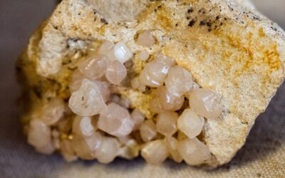 Canan Karatay açıkladı: Robotlar ve telefonlardaki zararı negatife çeviriyor! Her sofrada olmalı