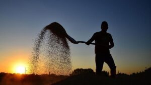 Çiftçilere büyük destek! Ödemeler bugün hesaplara aktarılacak