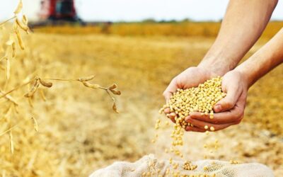 Çiftçiye 2.5 milyar kuraklık tazminatı