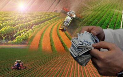 Çiftçiye nefes aldıran karara teşekkür! Zirai kredi faiz artışı iptal edildi