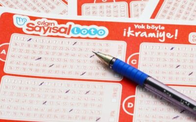 ÇILGIN SAYISAL LOTO sonuçları açıklandı💥20 Eylül 2025 Sayısal Loto sonuçları sorgulama ekranı!