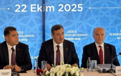 Cumhurbaşkanı Yardımcısı Yılmaz: TL'ye olan güven artmış durumda