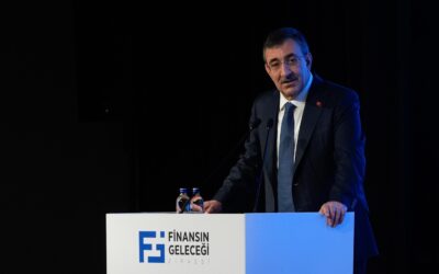 Cumhurbaşkanı Yardımcısı Cevdet Yılmaz'dan fon açıklaması