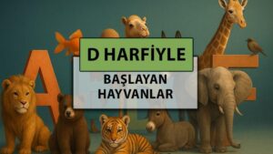 D harfi ile başlayan hayvan isimleri: D harfi ile başlayan hayvan isimleri nelerdir?