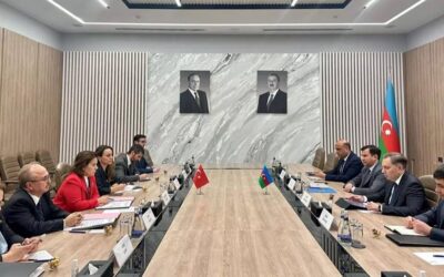 Dışişleri Bakan Yardımcısı Ekinci, Azerbaycan'da temaslarda bulundu