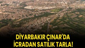 Diyarbakır Çınar'da icradan satılık tarla!