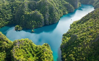 Dünya Bankası: Her yıl kaybolan tatlı su 280 milyon insanın ihtiyacını karşılayabilir