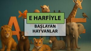 E harfi ile başlayan hayvan isimleri: E harfi ile başlayan hayvan isimleri nelerdir?