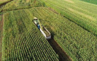 Ekimde üreticilere 11,6 milyar lira hasar tazminatı ödendi