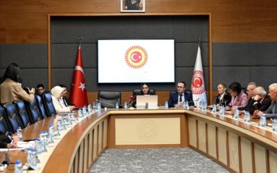 Engelli bireylerin sorunları TBMM'de masaya yatırıldı