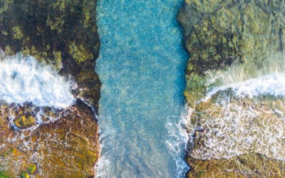 Evet, dünyanın en büyük 2. kıtası bölünüyor… Hangi ülke nerede kalacak?