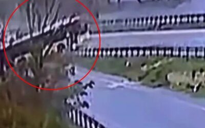 Faciadan dönüldü: İETT otobüsü kayarak yoldan çıktı