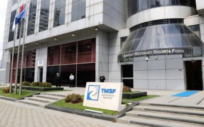 Financial Times'tan TMSF analizi: Binden fazla şirketi kontrol ediyor