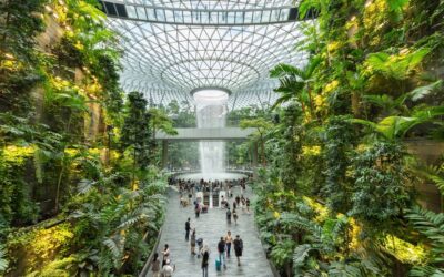 Forbes Travel Guide seçkisi: 2025’in en iyi havayolları ve havalimanları