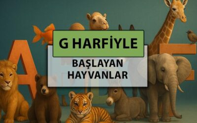 G harfi ile başlayan hayvan isimleri: G harfi ile başlayan hayvan isimleri nelerdir?