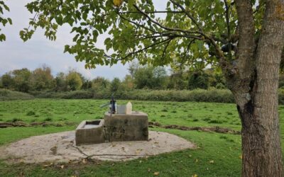 Genç kızın cesedi su kuyusunda bulunmuştu… 1 şüpheli gözaltına alındı