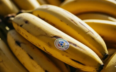 Google’ın yeni yapay zekası Nano Banana, ekosistemine hızla yayılıyor