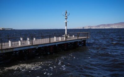 Görenleri şoke eden manzara! İzmir'de kabus devam ediyor
