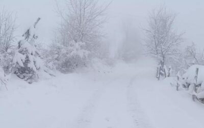 Görüş mesafesi 30 metreye kadar düştü! Kars'ın yüksekleri karla kaplandı