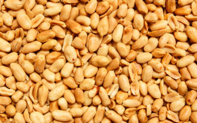 Unutkanlığı yavaşlatın: Uzmanlar, hafızayı güçlendiren günlük dozu açıkladı