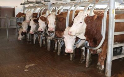 "Halk Elinde Islah Projeleri"ne toplam 2,7 milyar lira destek