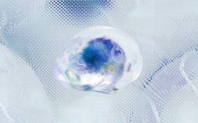 İnsanlığın "haz düğmesi" deneyi: B-19 vakası ve büyük tartışmalar…