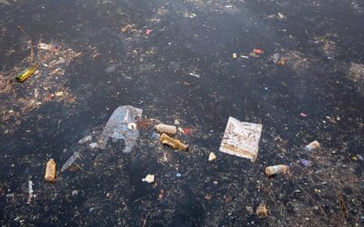 İBB yine sınıfta kaldı… Sarıyer'de kıyıya çöp vurdu