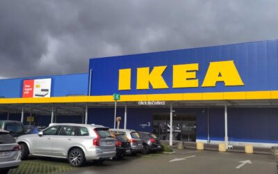 IKEA’dan Baltık ülkelerinde orman hamlesi