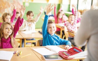 İlkokula bilinçli tüketici dersi