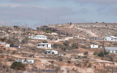 İsrail barbarlığı gölgesinde zeytin hasadı: Yaşlı kadına saldırdılar
