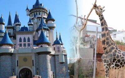 İstanbul'a çok yakın yarı tatili için rotalar! Çocuklar buraya bayılacak