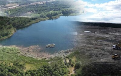İstanbul'un mavi mucizesi İBB'nin karanlığına gömüldü! Ekosistem yok edildi