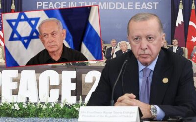 Katile Erdoğan vetosu