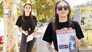 Kayıp kedi için 100 bin TL ödül